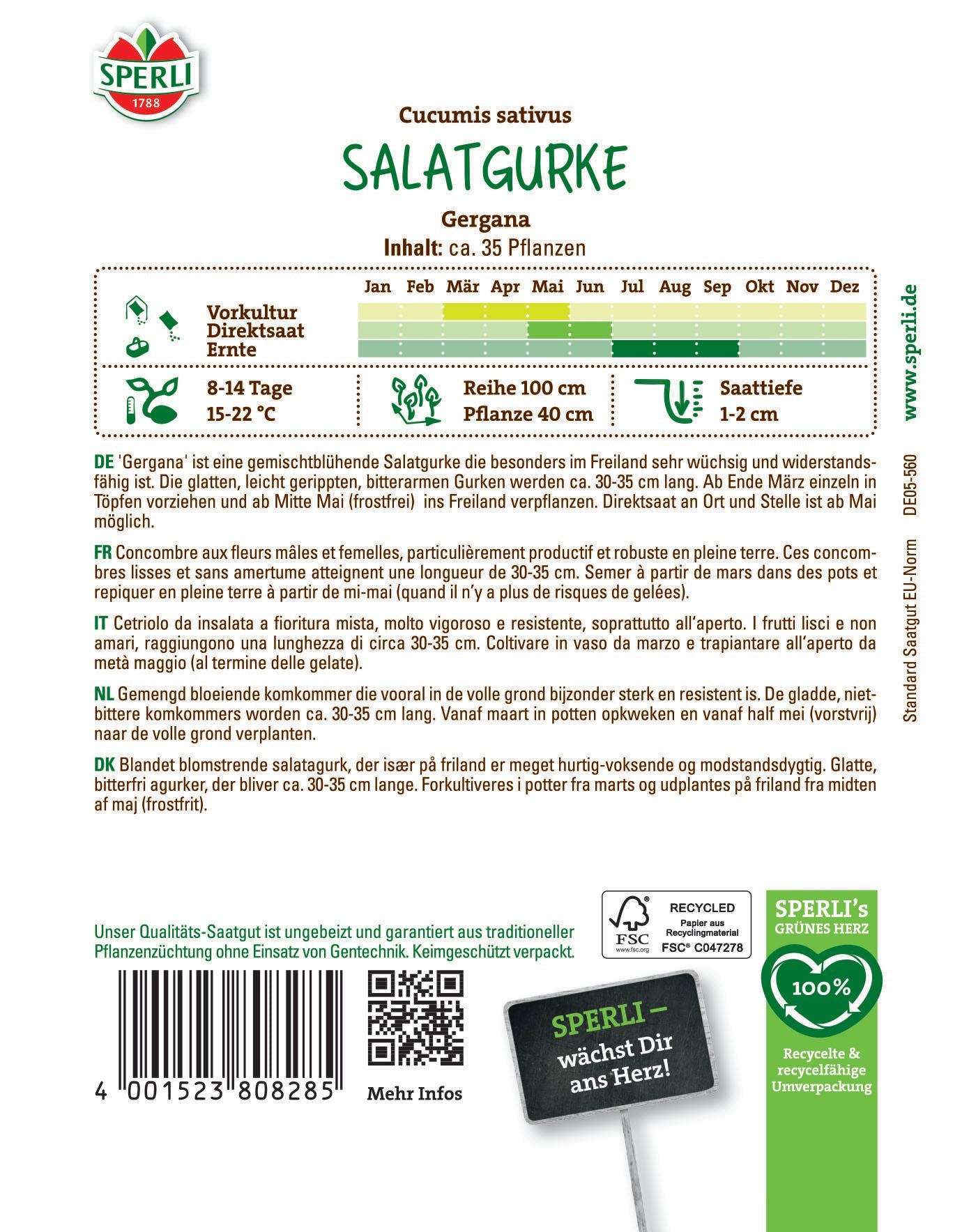 Salatgurkensamen Gergana