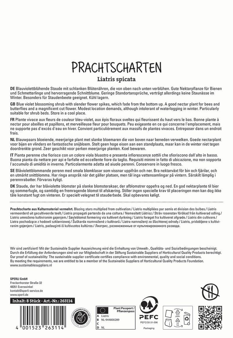 Prachtscharte blau