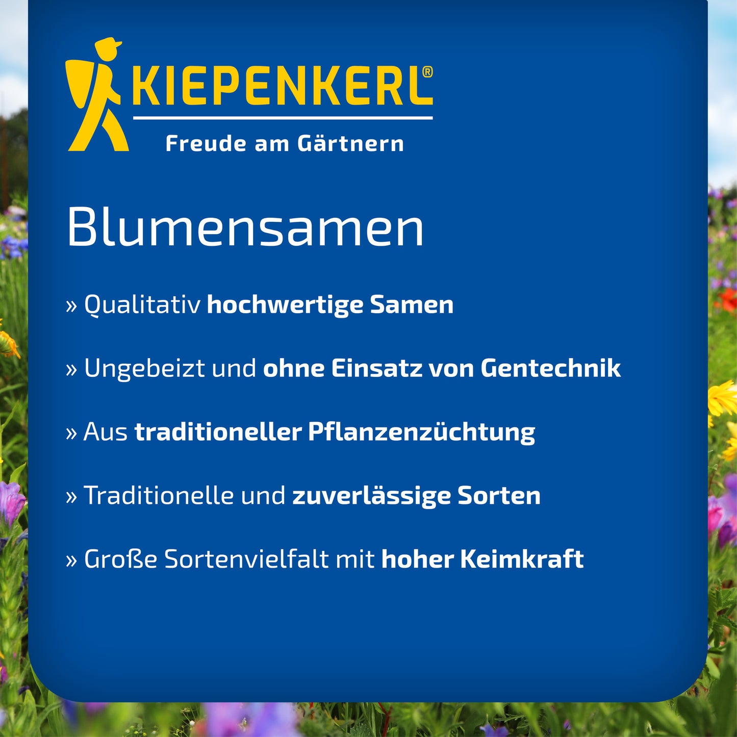 Goldlacksamen Mauerblumen Mischung