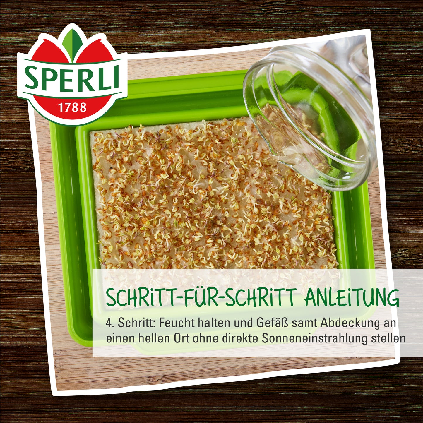 BIO Microgreen Box, Anzuchtset