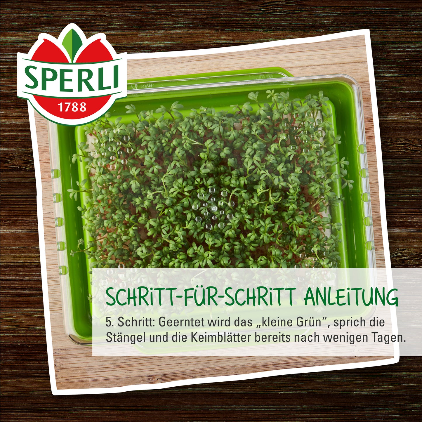 BIO Microgreen Box, Anzuchtset