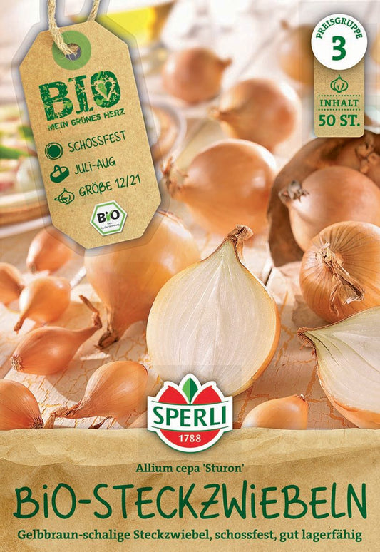 Gelbe BIO-Steckzwiebel Sturon