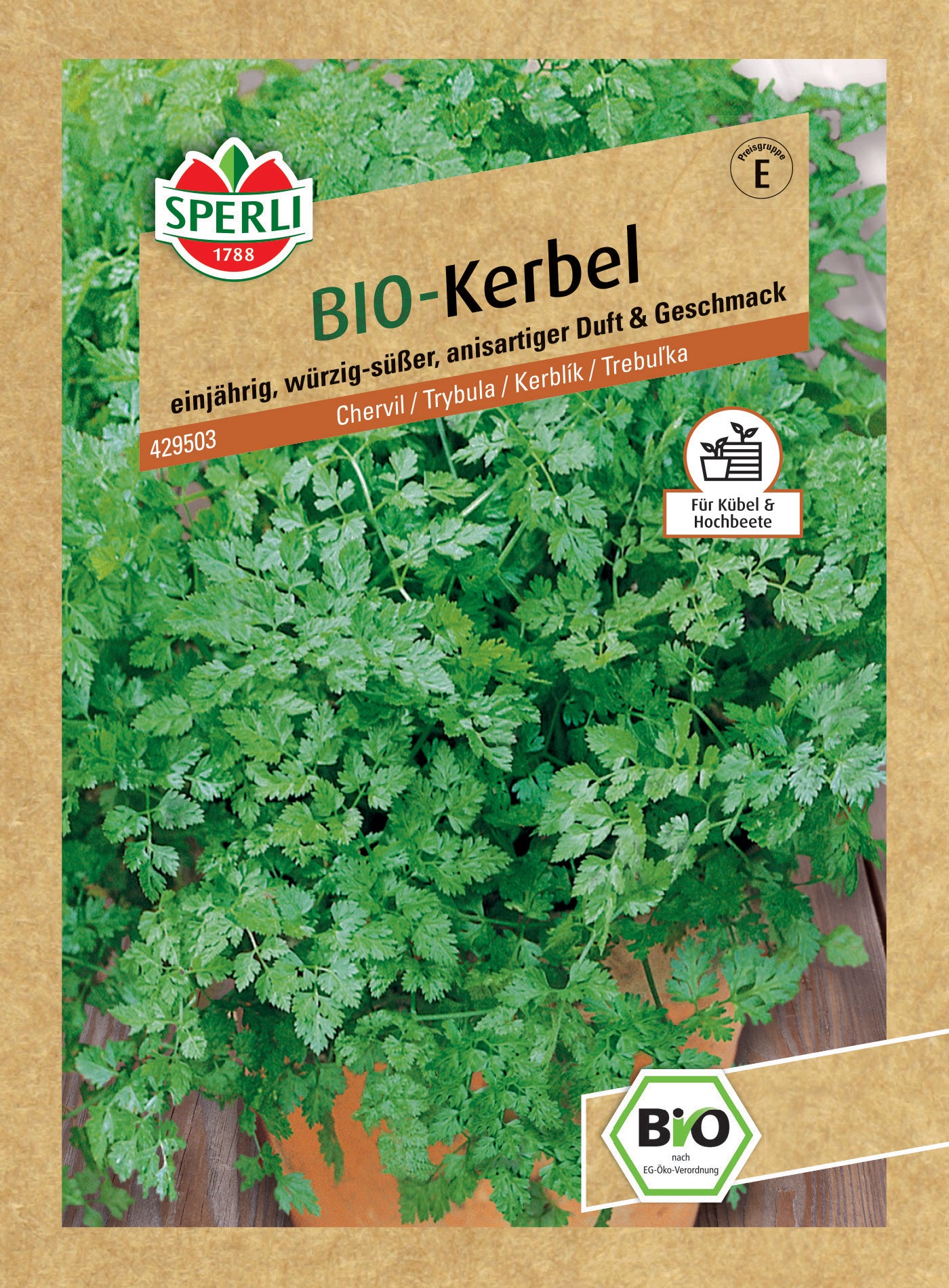 BIO Kerbelsamen
