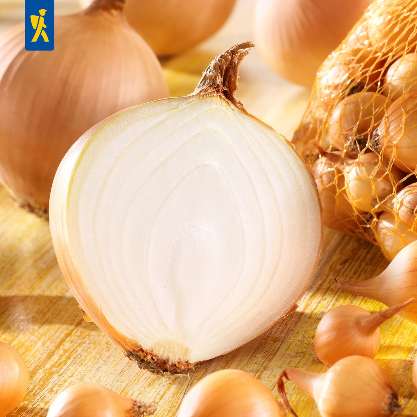Steckzwiebel Stuttgarter Riesen 250g