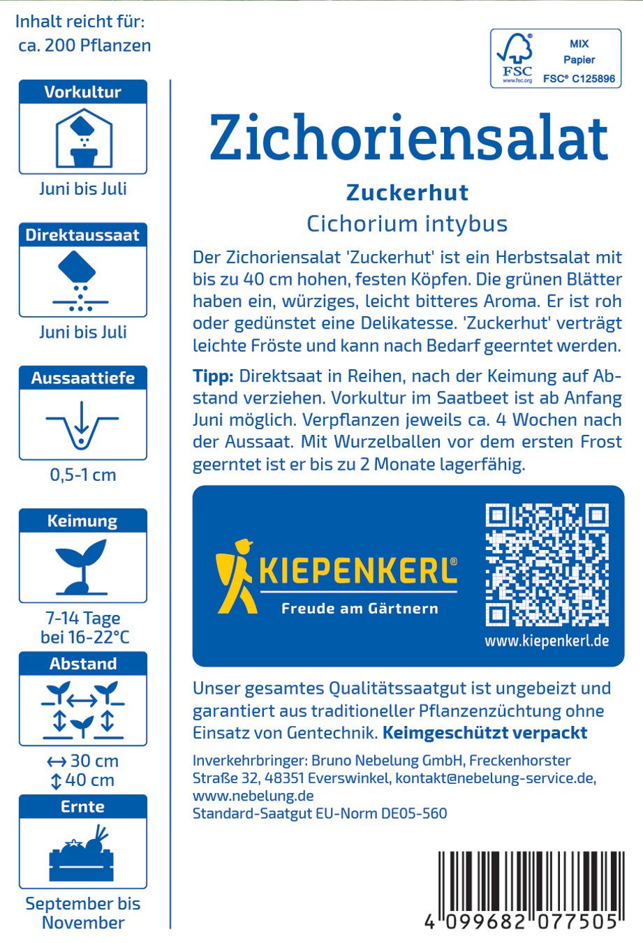 Zichoriensalatsamen Zuckerhut