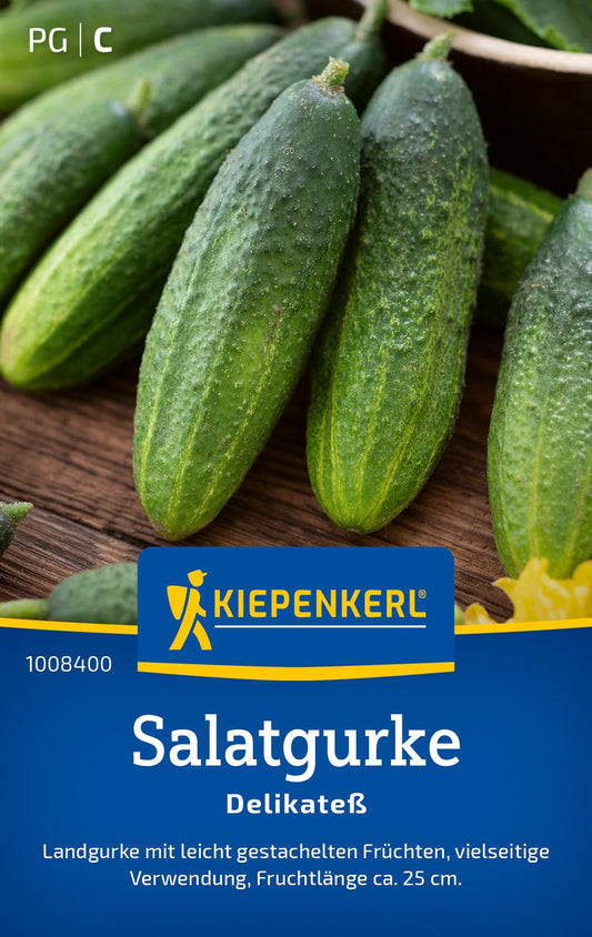 Salatgurkensamen Delikateß
