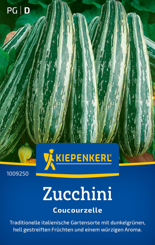 Zucchinisamen Coucourzelle