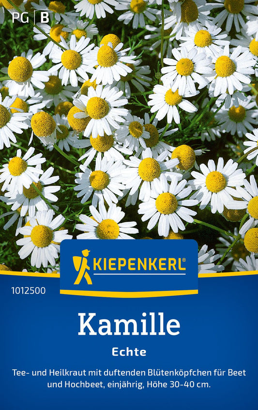 Kamillesamen Echte