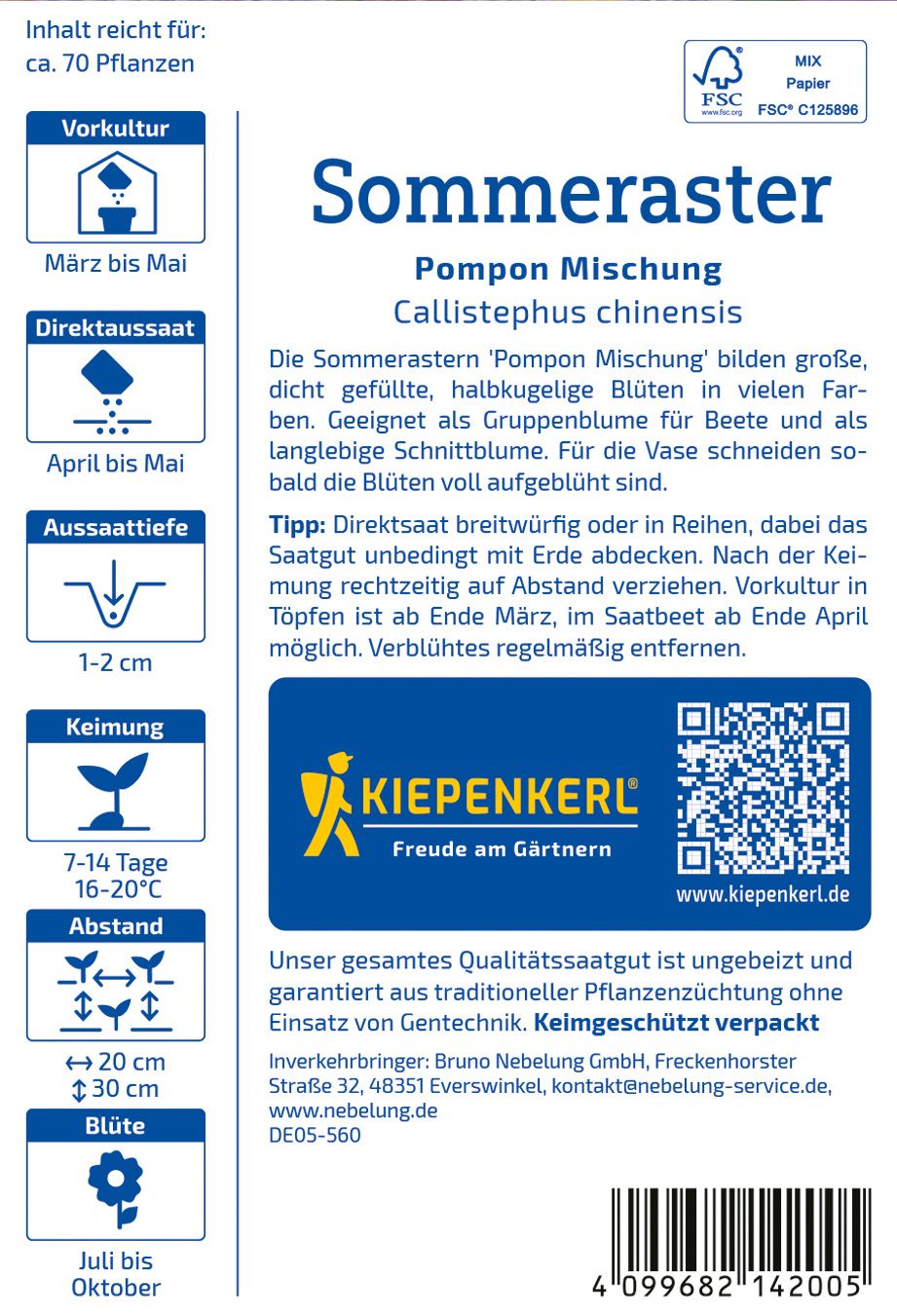 Sommerastersamen Pompon Mischung
