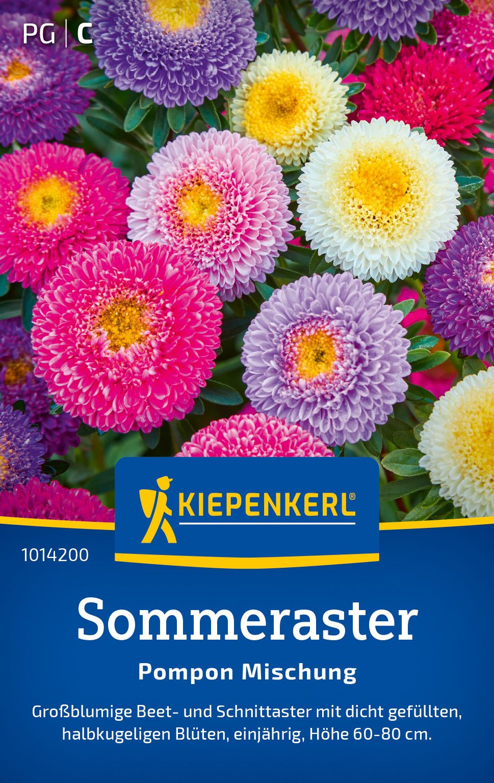 Sommerastersamen Pompon Mischung