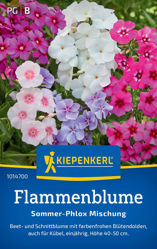 Flammenblumensamen Sommer-Phlox Mischung