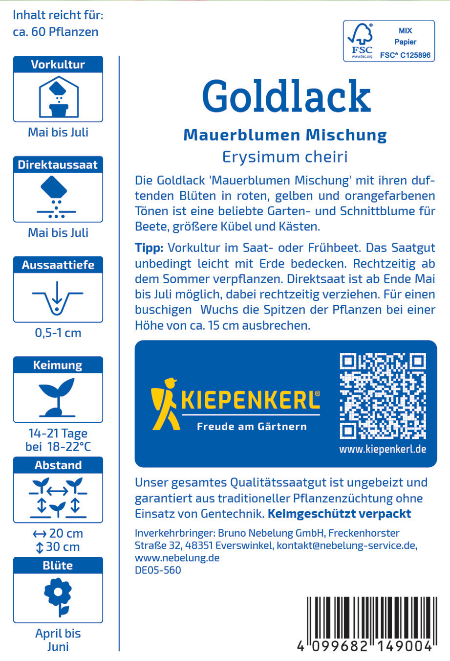 Goldlacksamen Mauerblumen Mischung