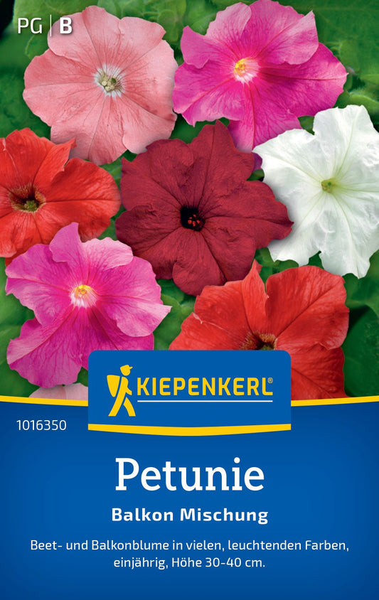 Petuniensamen Balkon Mischung