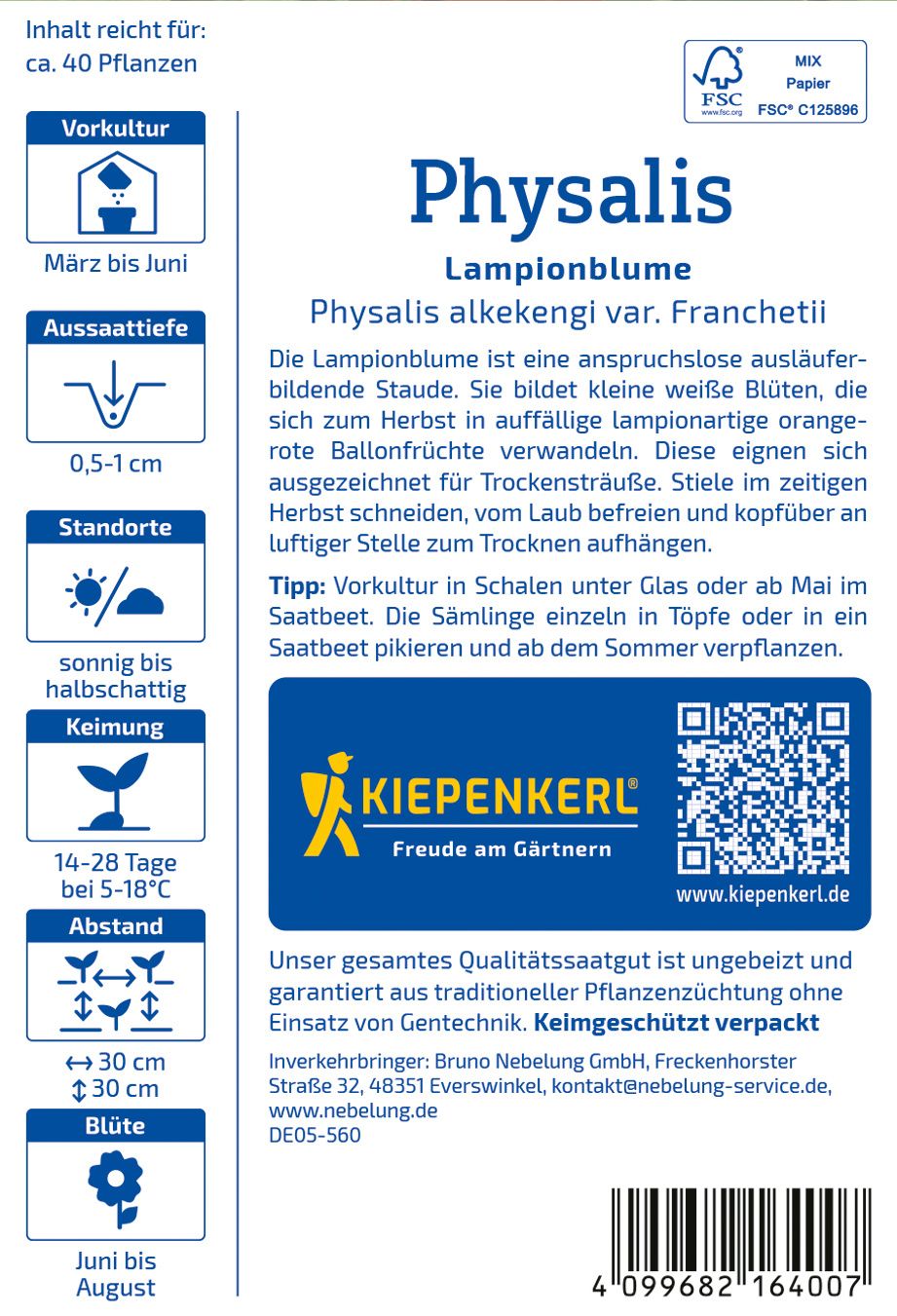 Physalissamen Lampionblume