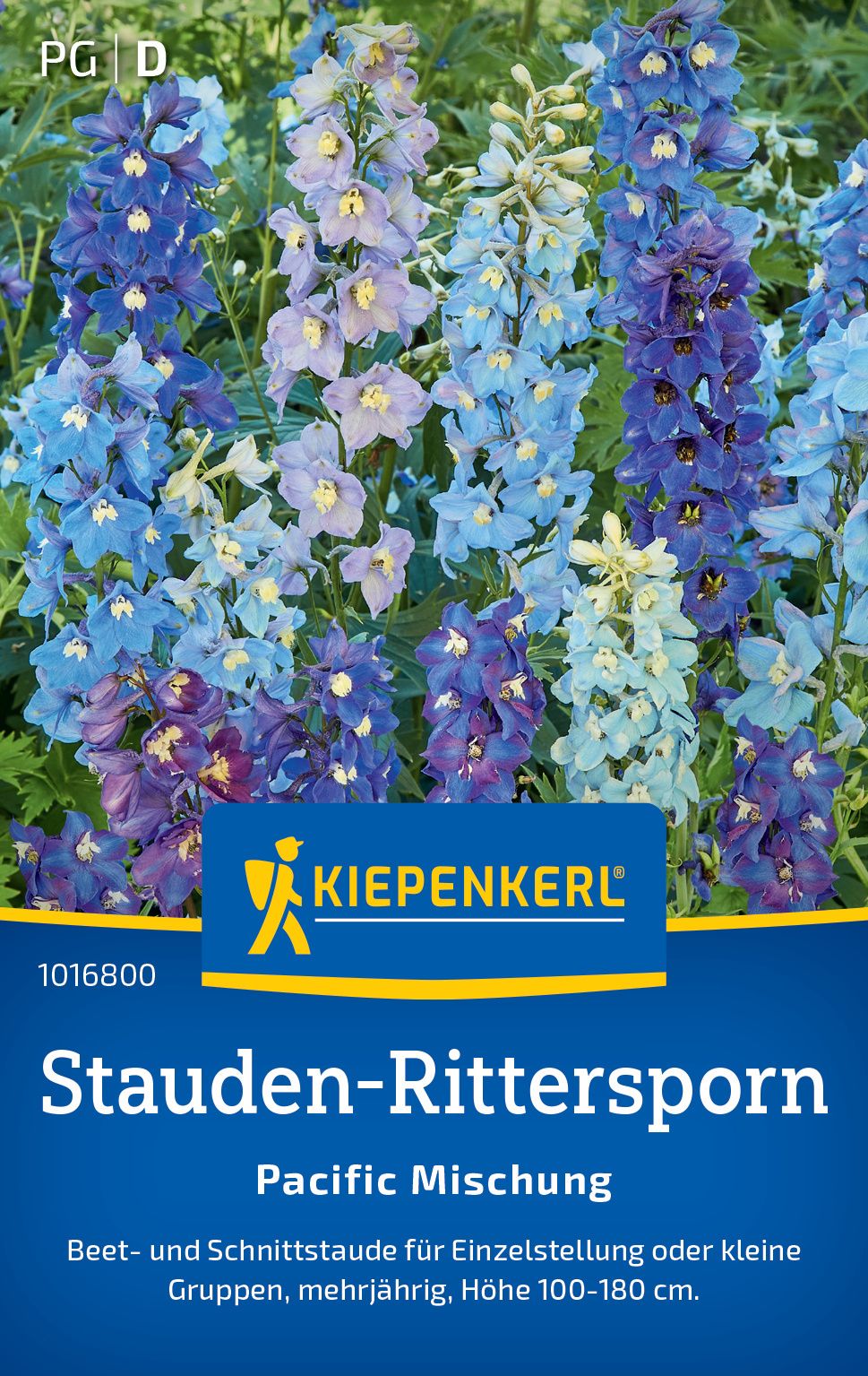 Stauden-Ritterspornsamen Pacific Mischung