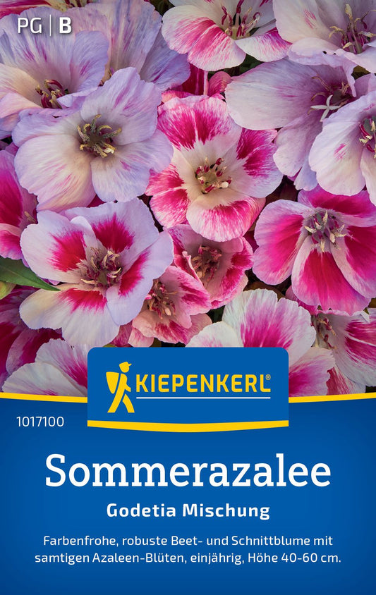 Sommerazaleesamen Godetia Mischung
