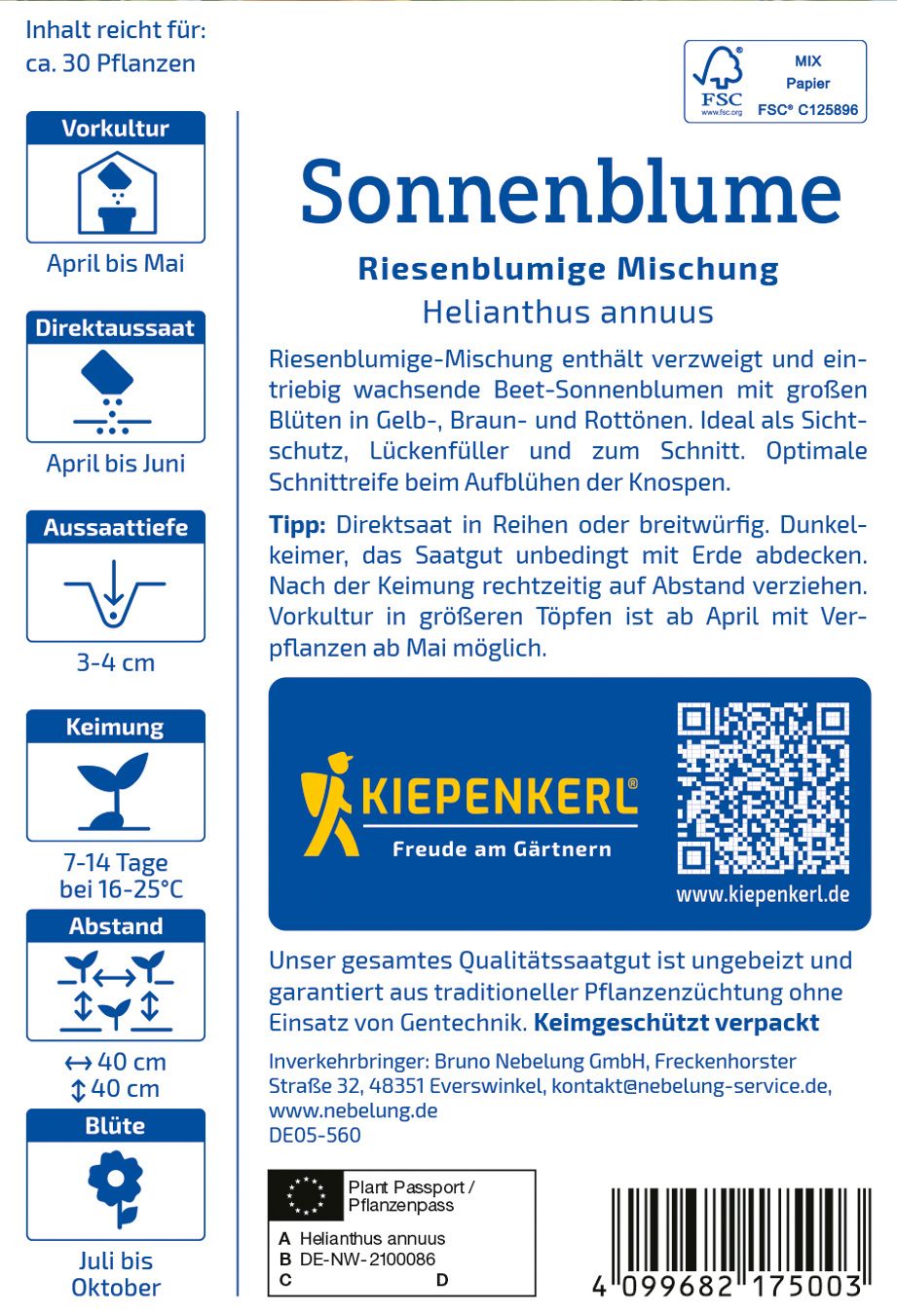 Sonnenblumensamen Riesenblumige Mischung