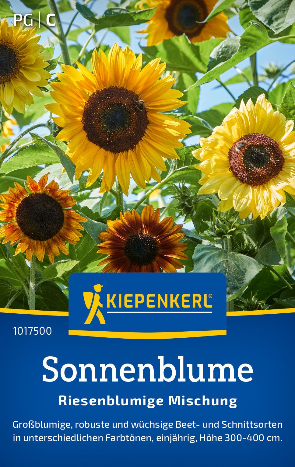 Sonnenblumensamen Riesenblumige Mischung