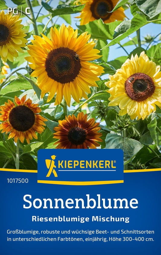 Sonnenblumensamen Riesenblumige Mischung