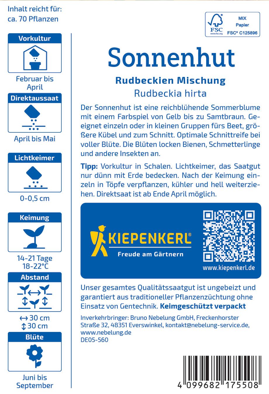 Sonnenhutsamen Rudbeckien Mischung