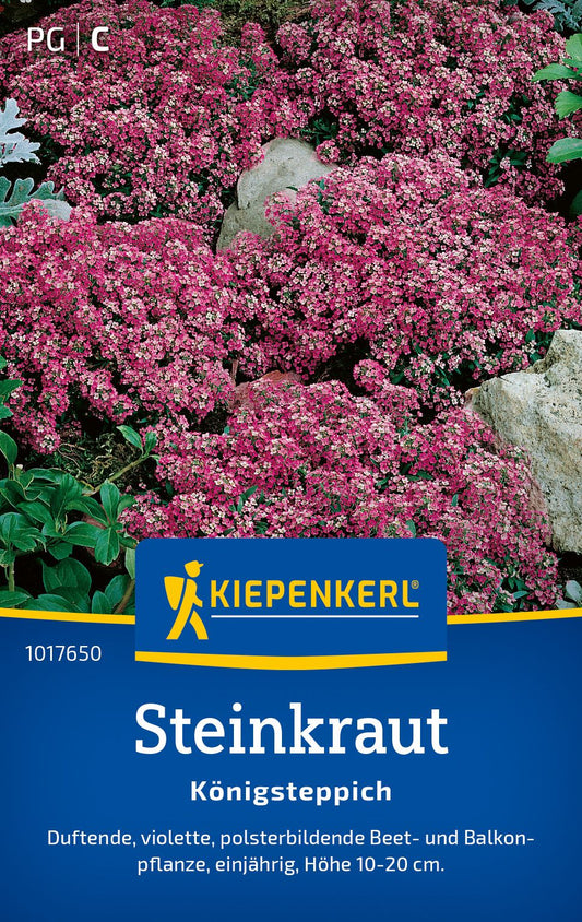 Steinkrautsamen Königsteppich