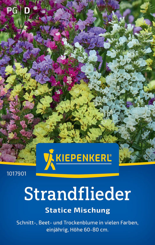 Strandfliedersamen Statice Mischung
