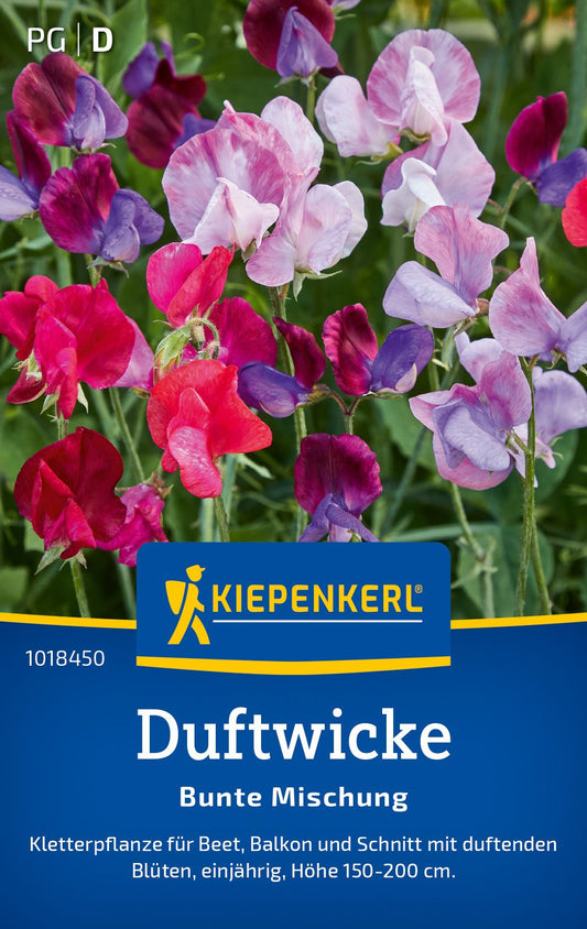 Duftwickensamen Bunte Mischung