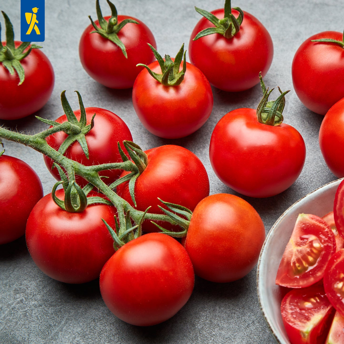 Salat-Tomatensamen Harzfeuer