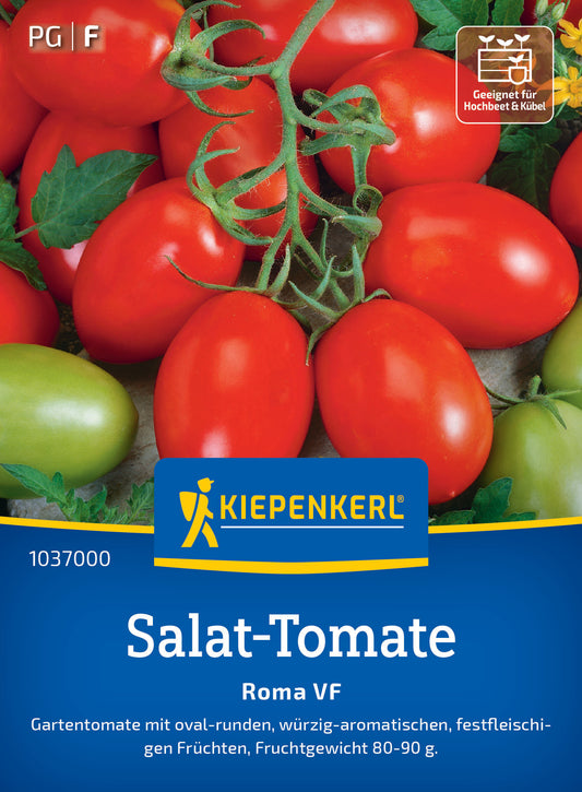 Salat-Tomatensamen Roma