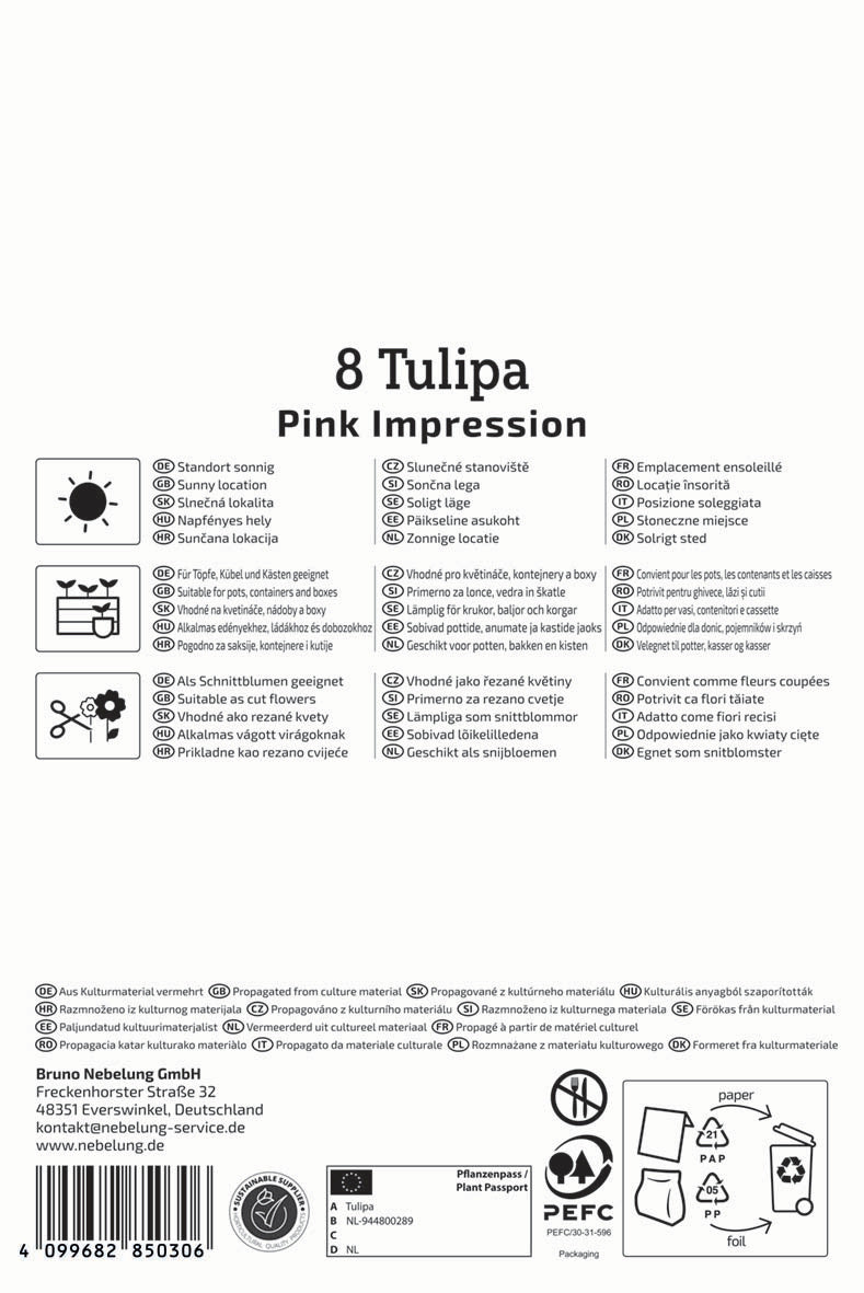 Darwin-Hybrid-Tulpe Pink Impression