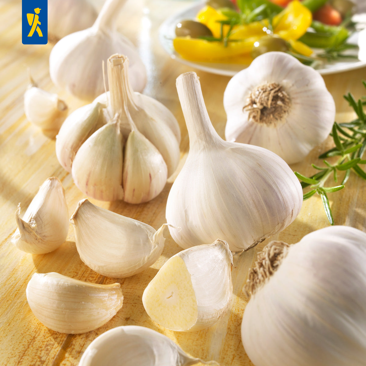 Winterknoblauch Messidrome