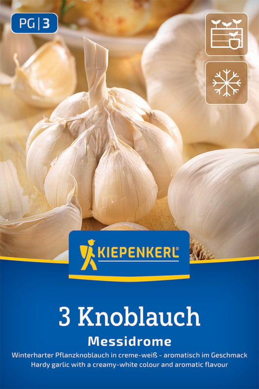 Winterknoblauch Messidrome