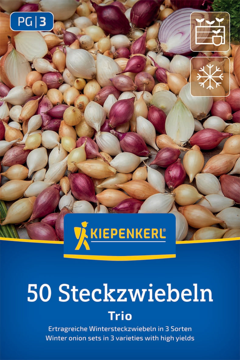 Wintersteckzwiebel-Trio Mischung