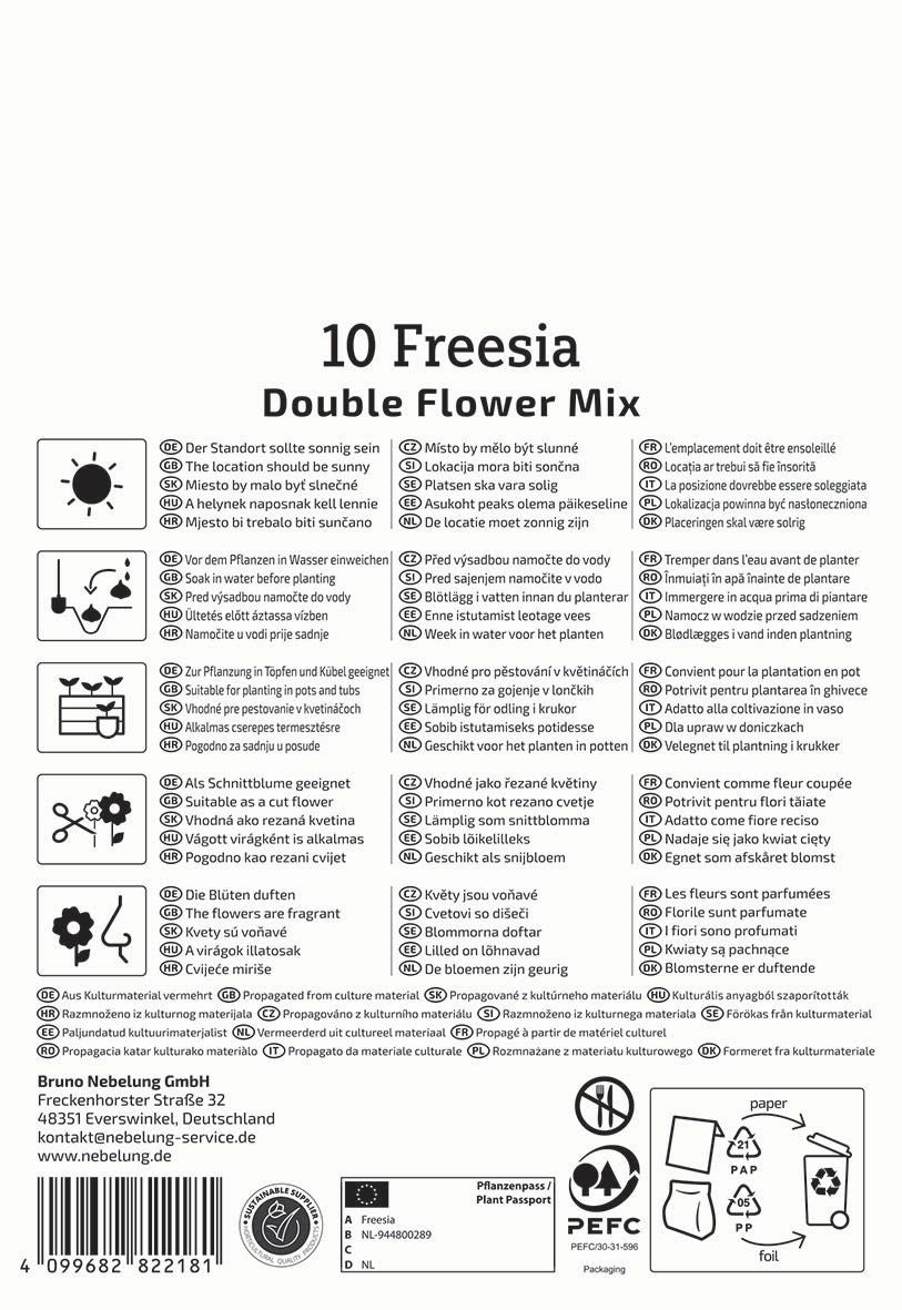Freesien Mischung
