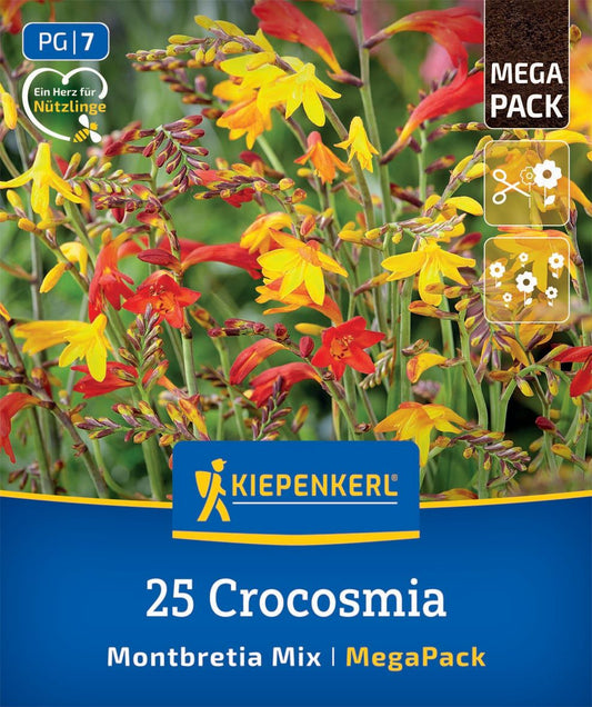 Mega-Pack Montbretien Mischung