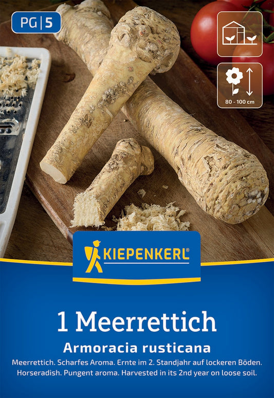Meerrettich