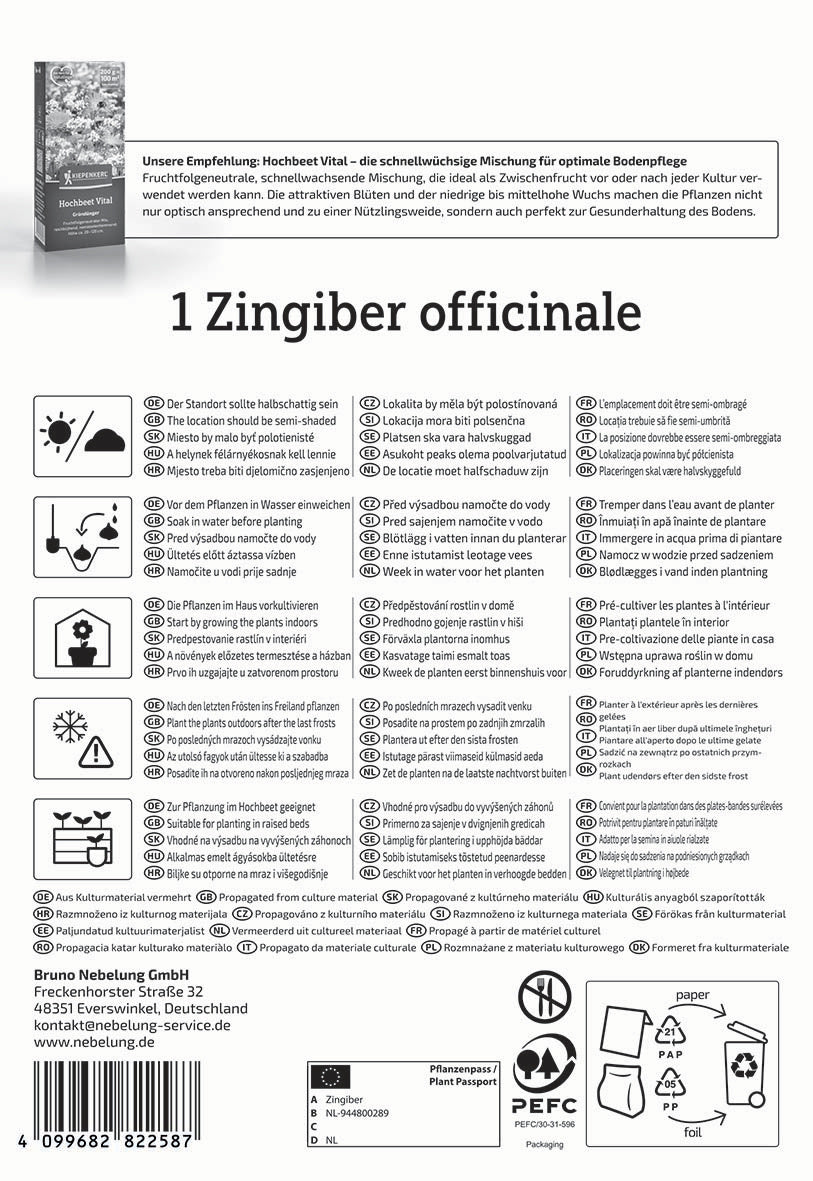 Ingwer