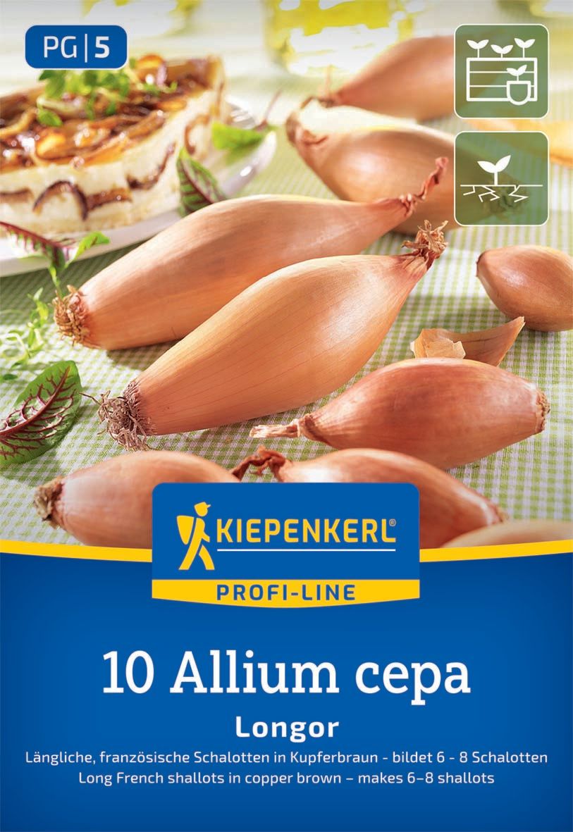 Schalotten Longor