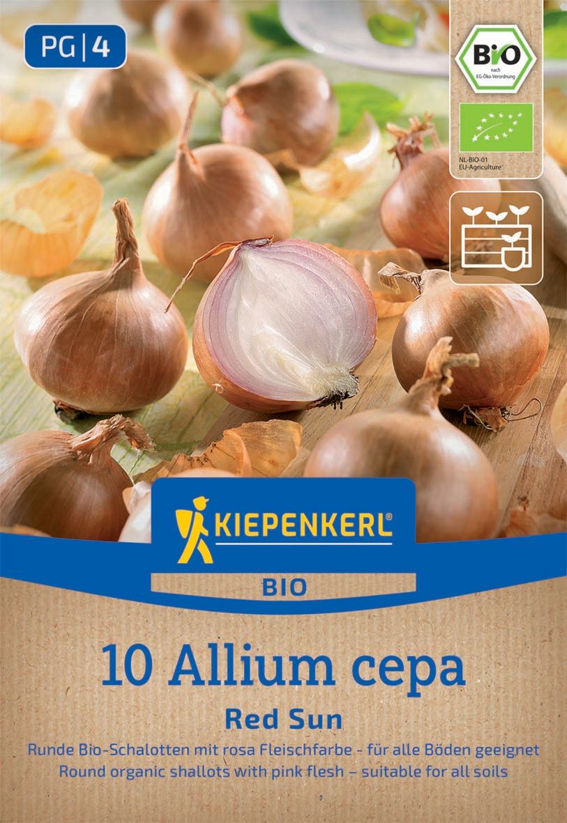 BIO-Schalotten Red Sun