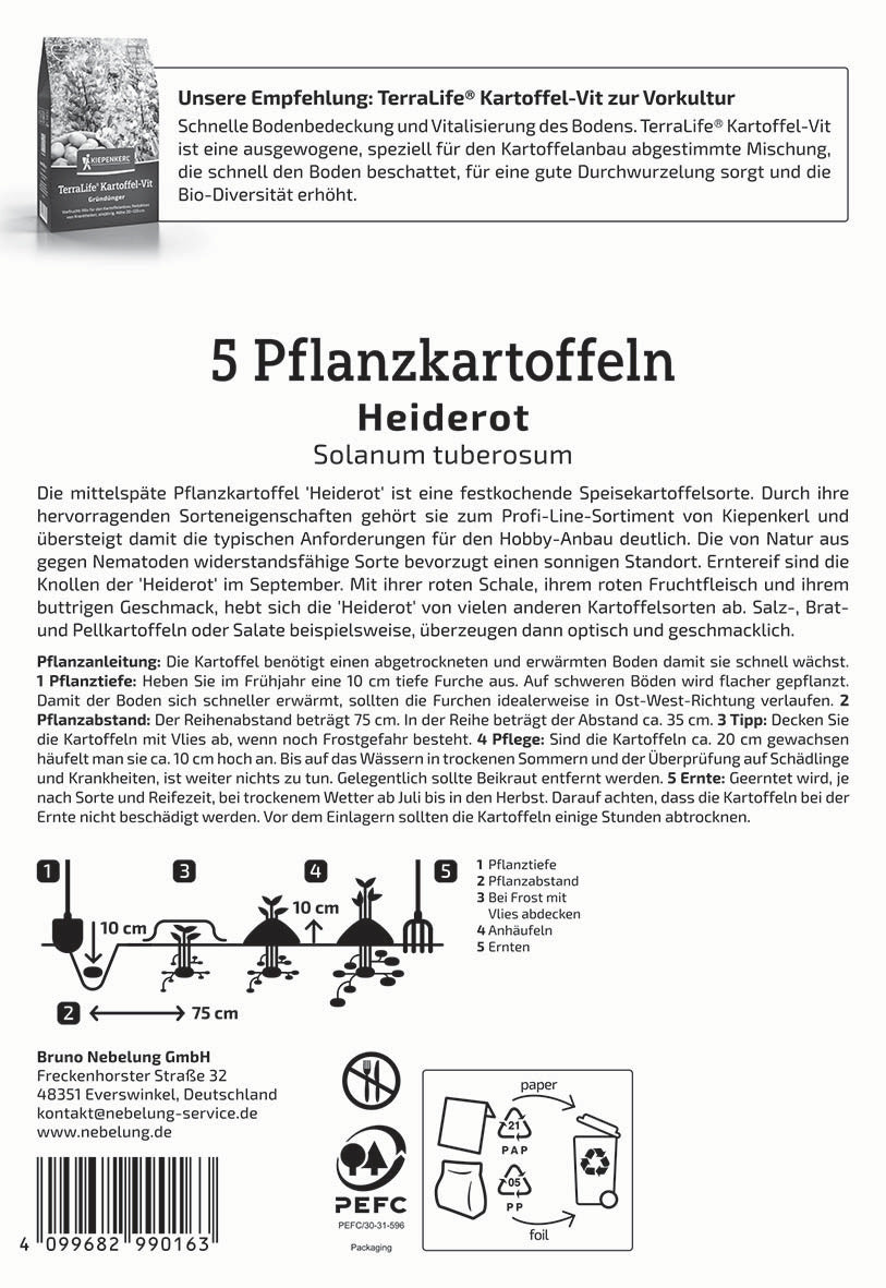 Pflanzkartoffel Heiderot