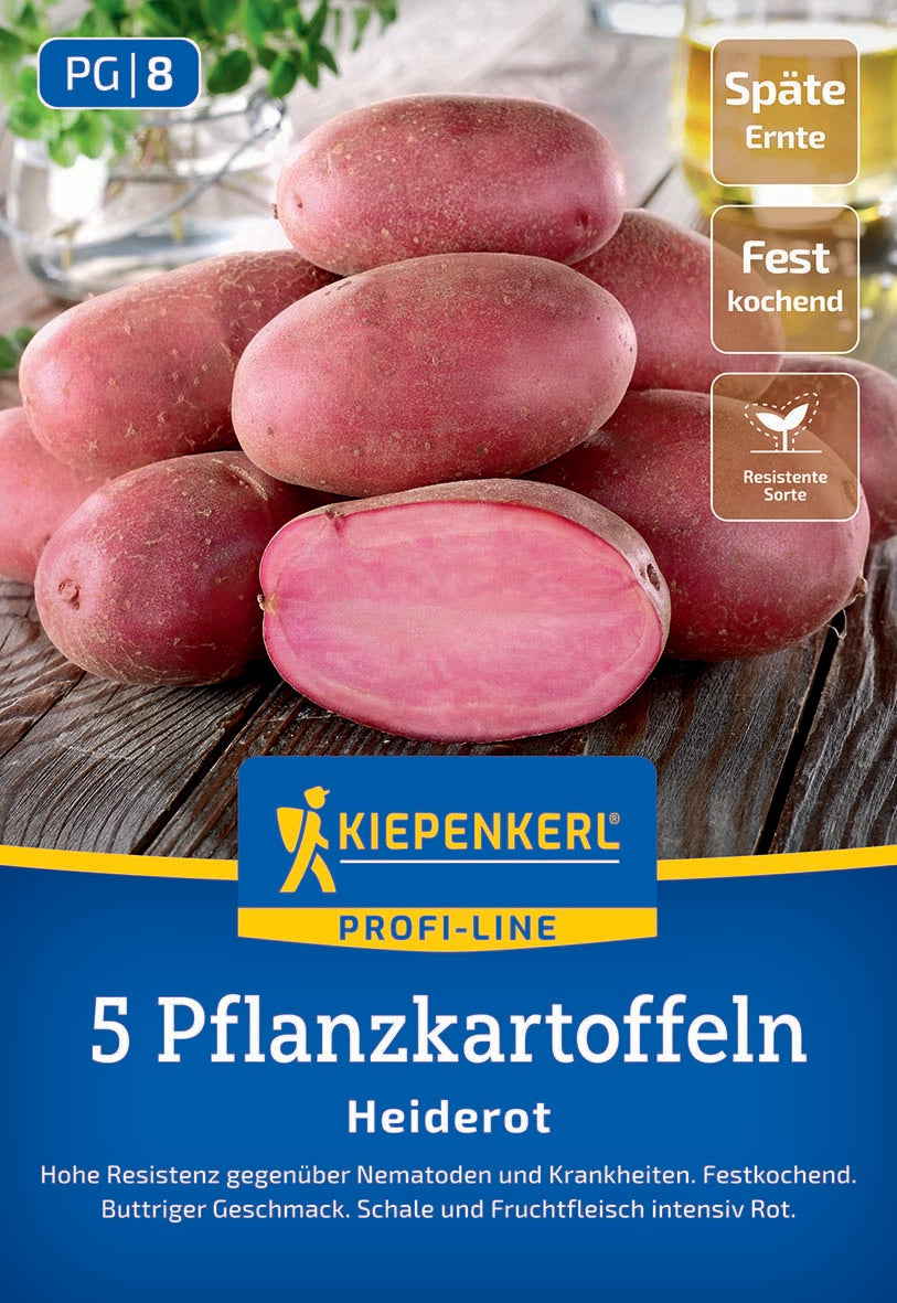 Pflanzkartoffel Heiderot