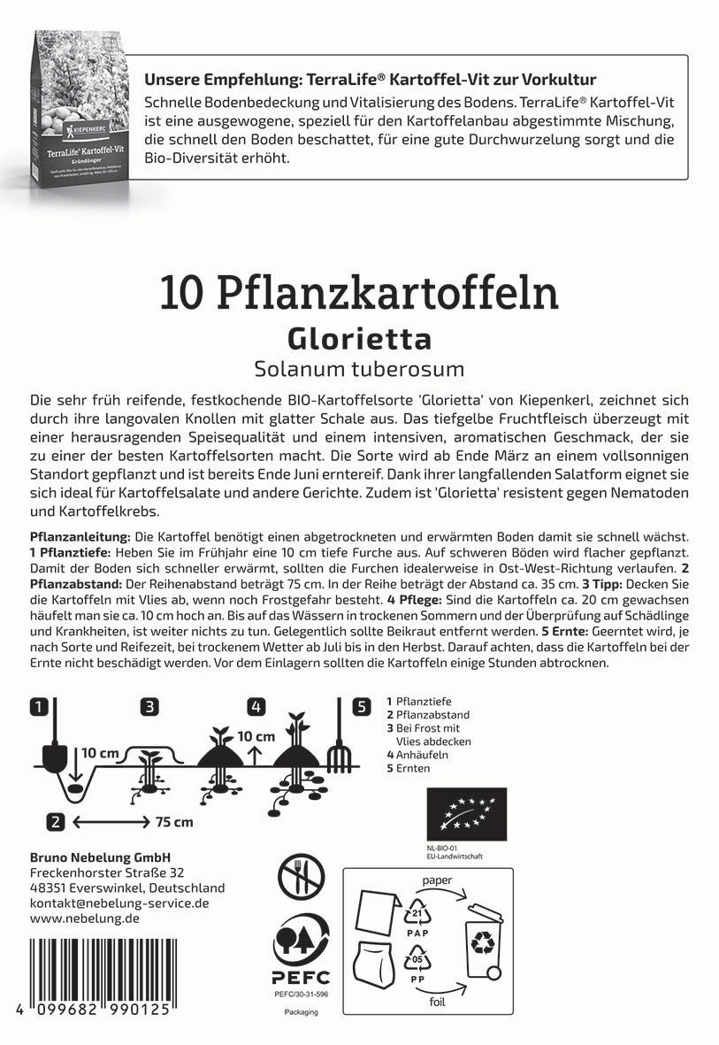 BIO-Pflanzkartoffel Glorietta