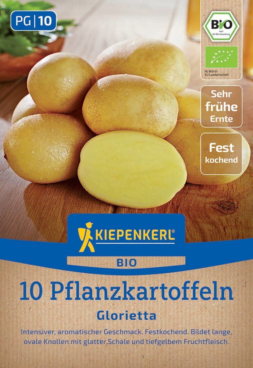 BIO-Pflanzkartoffel Glorietta