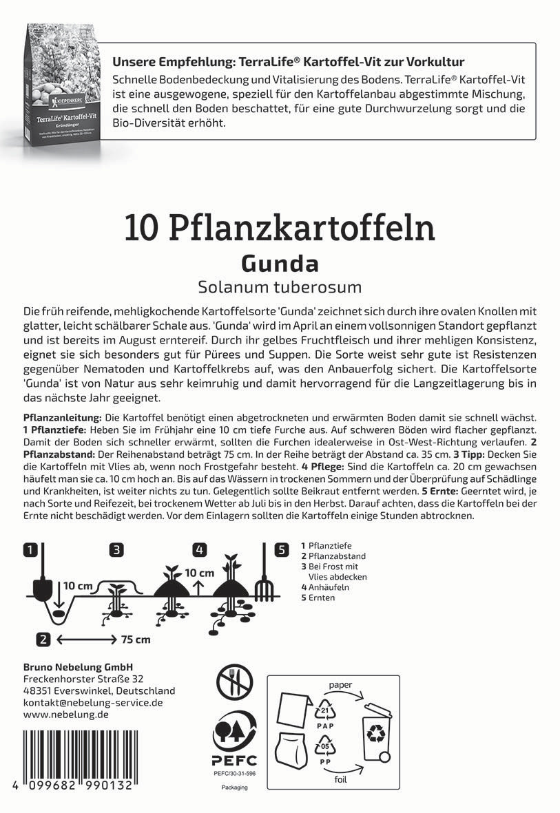 Pflanzkartoffel Gunda