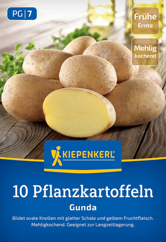 Pflanzkartoffel Gunda