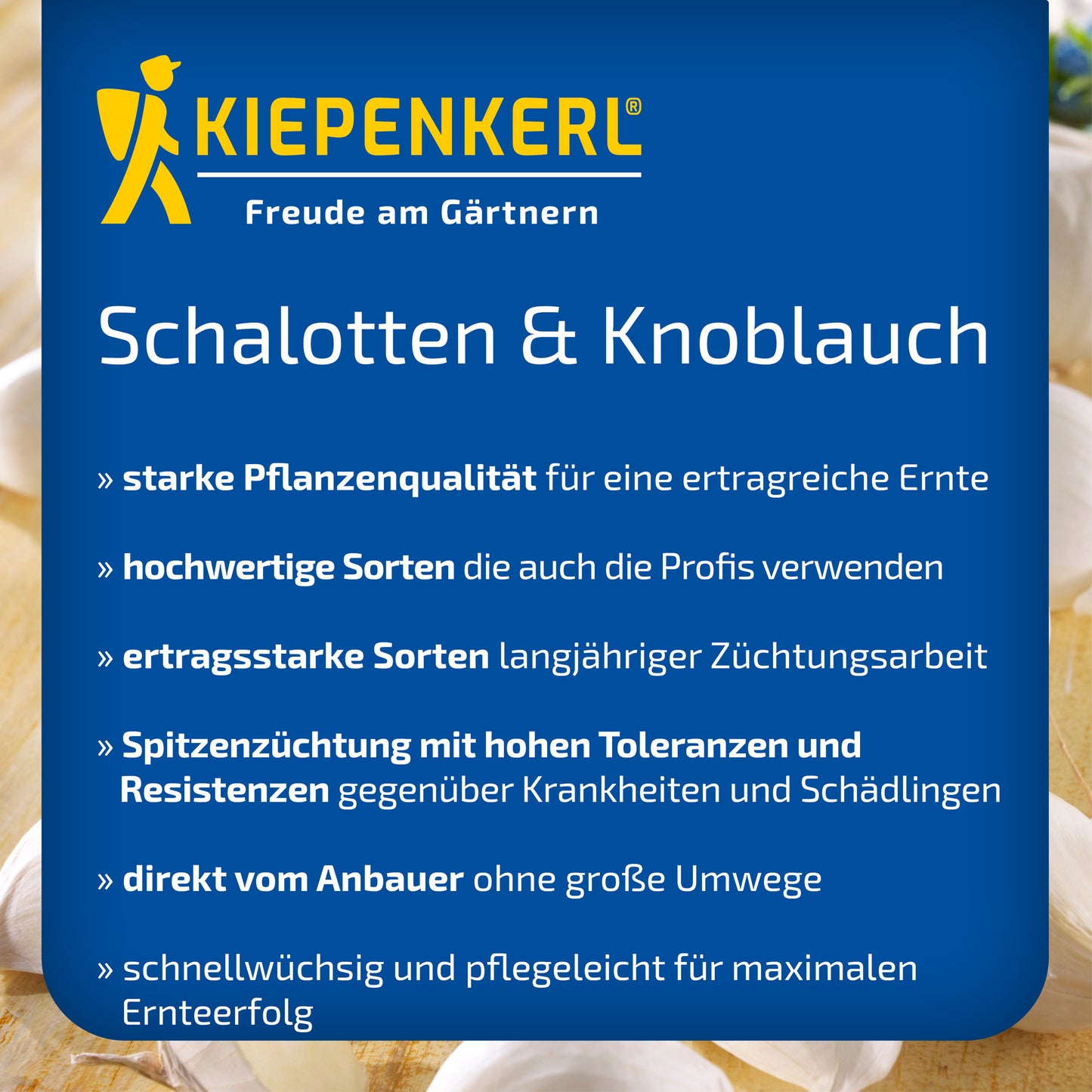 BIO-Schalotten Biztro