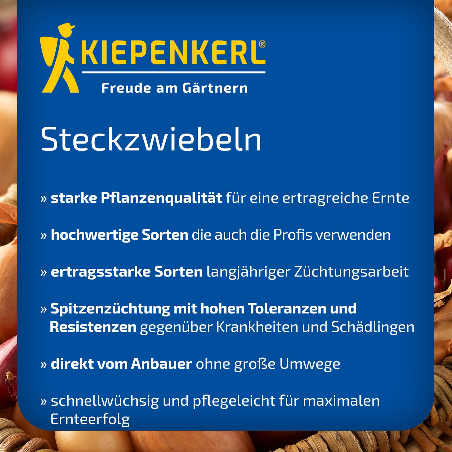 Steckzwiebeln Rote 250g