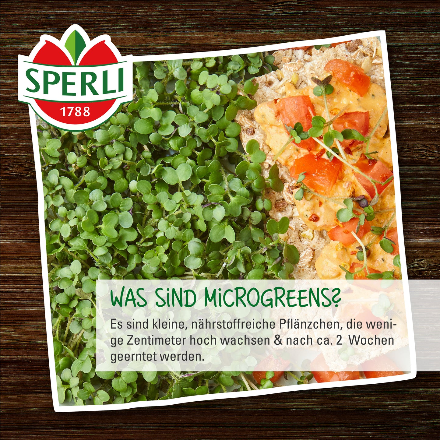 BIO Microgreen Box, Anzuchtset