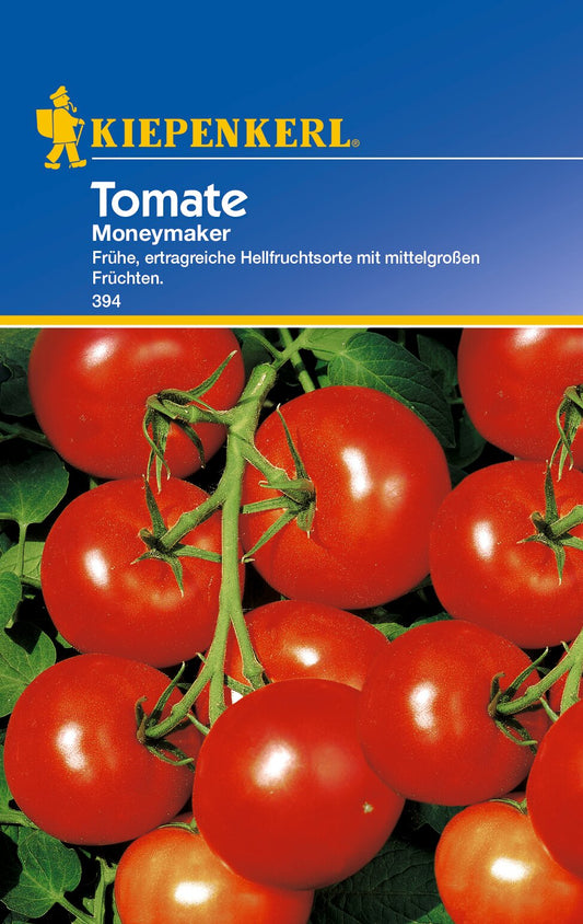 Salat-Tomatensamen Moneymaker